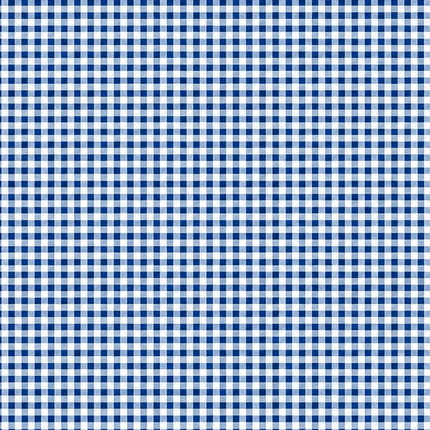 Blau-weiß karierte Wachstuch-Tischdecke in Nahaufnahme. Das feine Vichy-Karomuster besteht aus gleichmäßigen kleinen Quadraten und verläuft glatt und eben über die gesamte Fläche. Die Oberfläche wirkt faltenfrei und gleichmäßig ausgeleuchtet.
