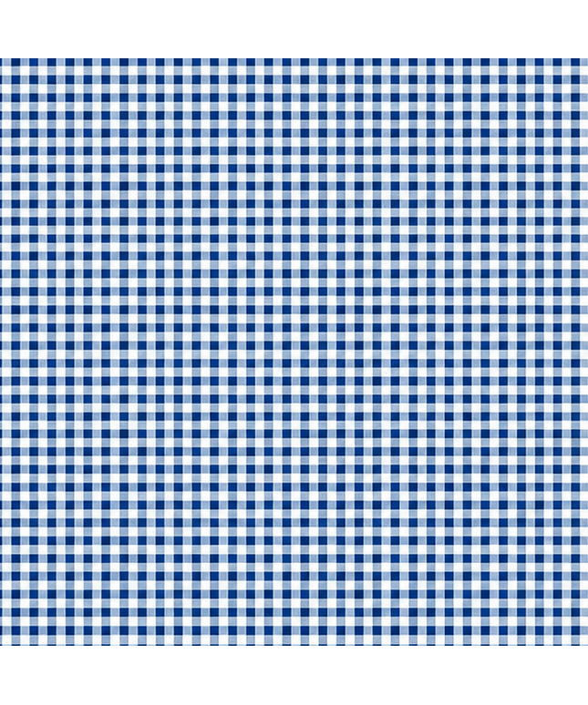 Blau-weiß karierte Wachstuch-Tischdecke in Nahaufnahme. Das feine Vichy-Karomuster besteht aus gleichmäßigen kleinen Quadraten und verläuft glatt und eben über die gesamte Fläche. Die Oberfläche wirkt faltenfrei und gleichmäßig ausgeleuchtet.