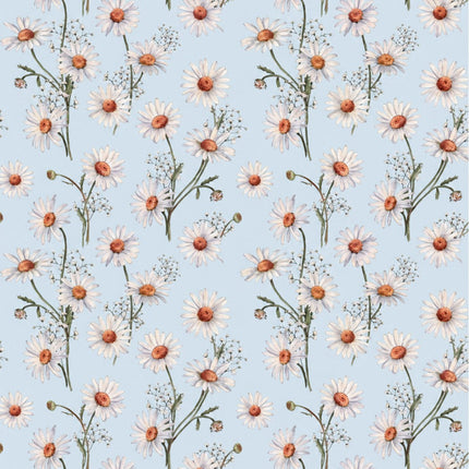 Wachstuch-Tischdecke mit weißen Margeriten und feinem Schleierkraut auf hellblauem Hintergrund. Orangefarbene Blütenmitten und grüne Stiele ergänzen das zarte, frische Blumenmuster mit sommerlicher Ausstrahlung.