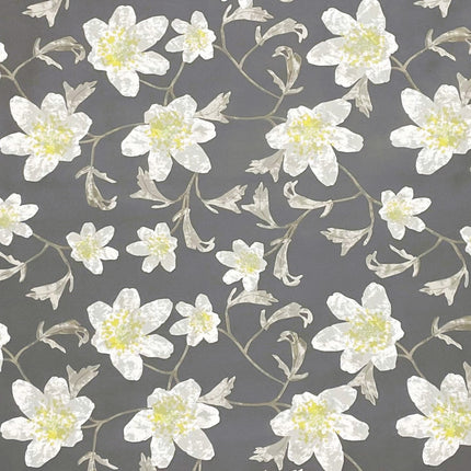 wachstuchshop24.de Wachtuchtischdecke Blumen Blüten Sommer grau